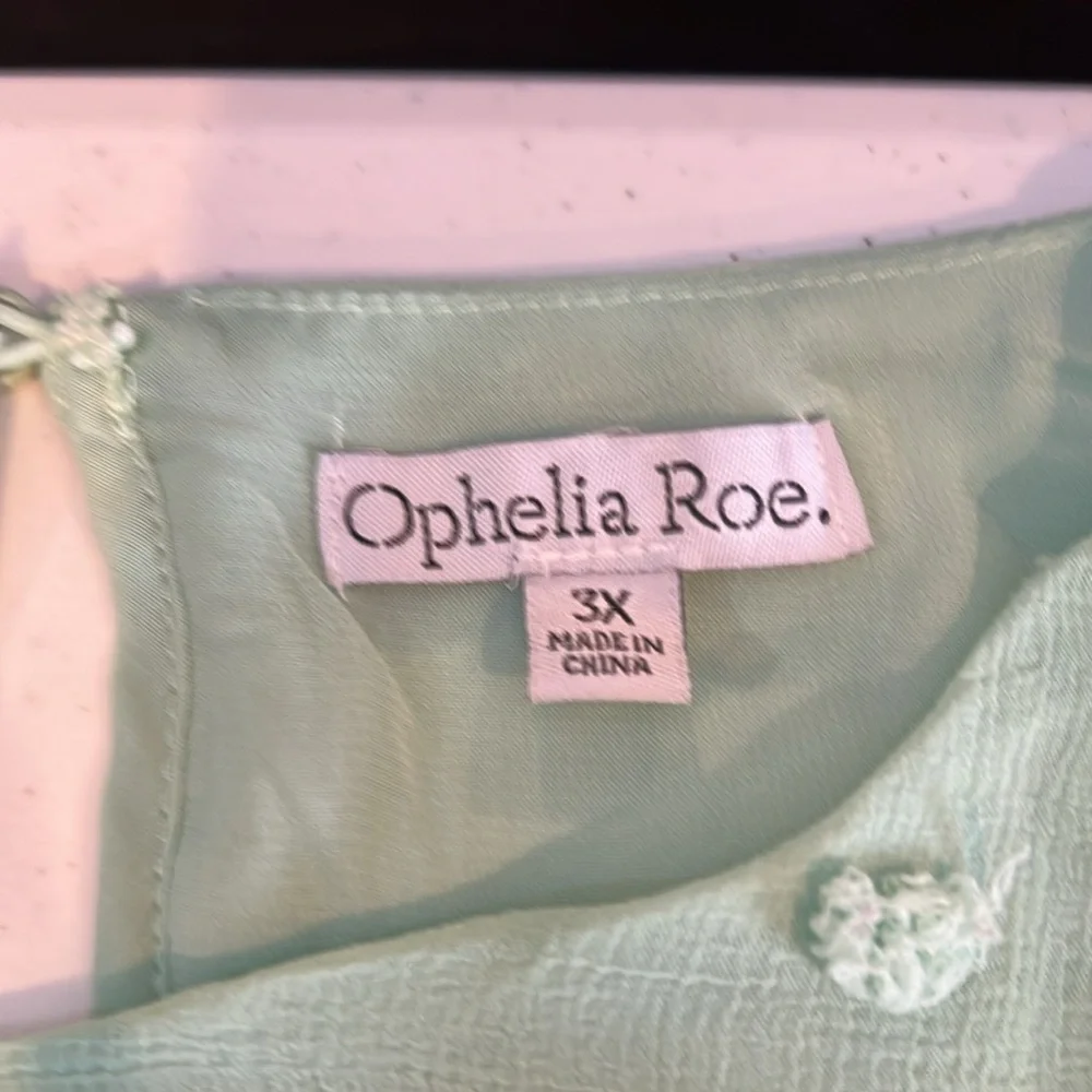 #148. Swiss dot blouse. 3x - Picture 4 of 9